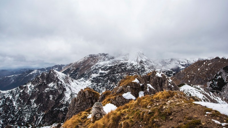 Donec Magna Purus Pellentesque Donec Magna Purus Pellentesque